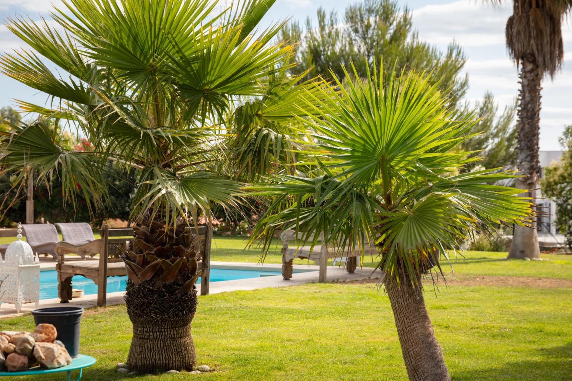 Escapades Lointaines Panzió Perpignan Kültér fotó
